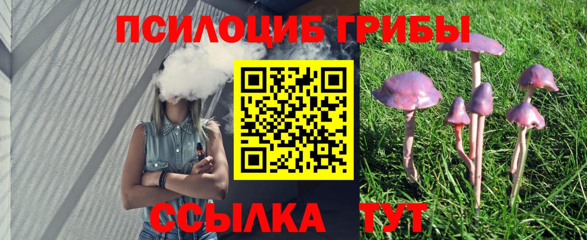 Галлюциногенные грибы GOLDEN TEACHER Псков