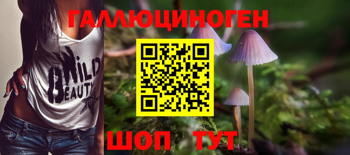 Галлюциногенные грибы Cubensis  Вход с VPN  Псков  Псилоцибиновые грибы мухоморы 
